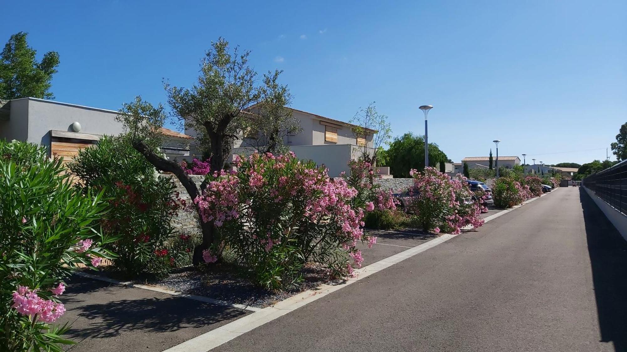Villa Home Holiday A Cala Rossa Lecci Exteriör bild